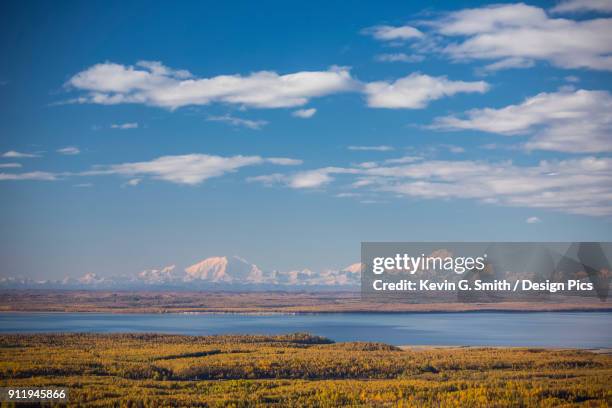 snow covered mount denali and foraker, as seen from joint base elmendorf richardson, with autumn coloured trees and cook inlet filling the foreground, south-central alaska - フォーレイカー山 ストックフォトと画像