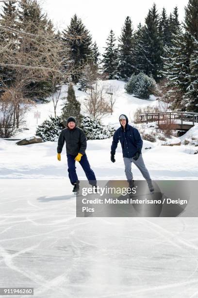 father and son skating on pond with snow covered bridge in the background - family skating in pond foto e immagini stock