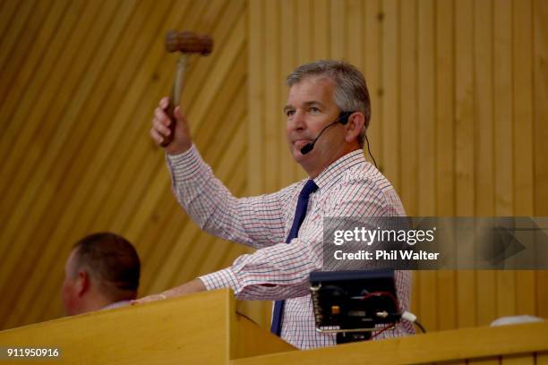 An auctioneer raises the hammer during the Karaka Yearling Sales at NZ Bloodstock in Karaka on January 30, 2018 in Auckland, New Zealand. Each...