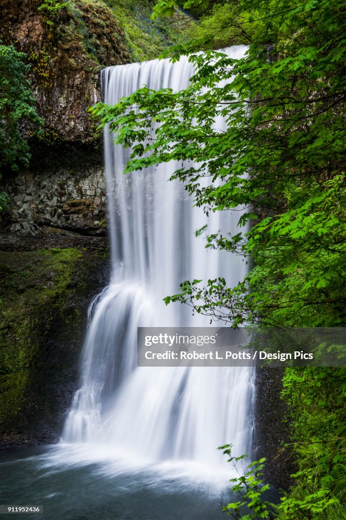 Lower South Falls Is Reached By The Canyon Trail At Silver Falls State Park