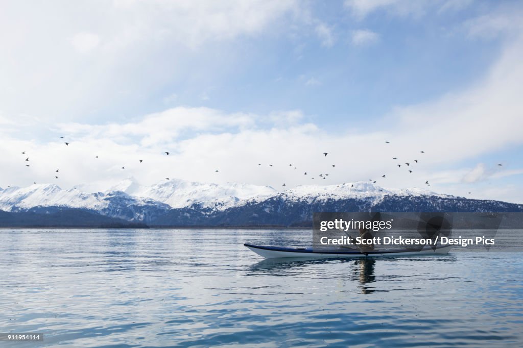 Paddling In A Canoe On Tranquil Water With A Flock Of Birds Flying Overhead And A View Of The Snow Capped Kenai Mountains, Kachemak Bay State Park