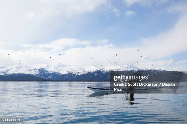 paddling in a canoe on tranquil water with a flock of birds flying overhead and a view of the snow capped kenai mountains, kachemak bay state park - state park stock pictures, royalty-free photos & images