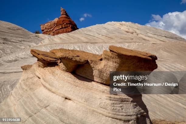 close-up of red and tan rock formations in paria canyon near kanab, utah in mid-summer with blue sky and clouds beyond - paria canyon foto e immagini stock