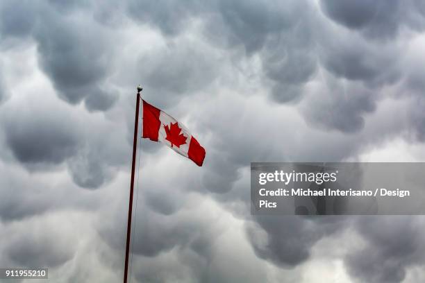 canada flag on pole against a dramatic storm cloud formation - canadian maple trees from below stock-fotos und bilder