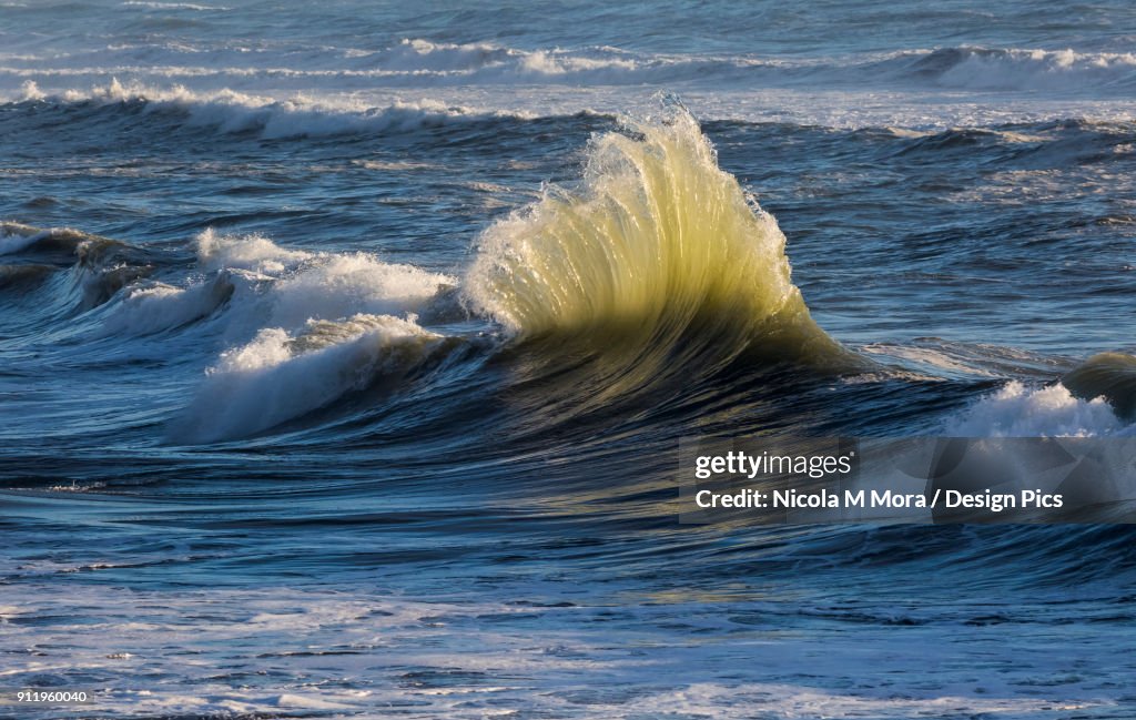 Sunlight shining on ocean water making a wave golden coloured as it breaks near the shore