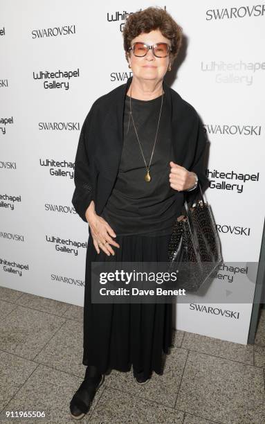 Chantal Crousel attends a gala dinner to celebrate Mona Hatoum as Whitechapel Gallery Art Icon with Swarovski at Whitechapel Gallery on January 29,...