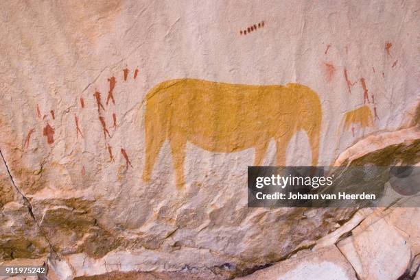 cederberg rock art - san stockfoto's en -beelden