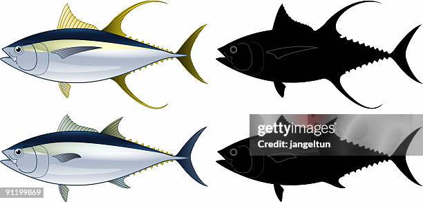 stockillustraties, clipart, cartoons en iconen met tuna fish - yellow fin tuna fish