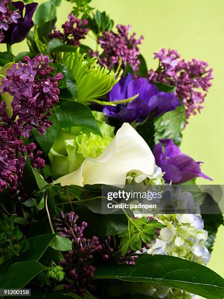 lily in lilacs - anemone flower arrangements stock pictures, royalty-free photos & images