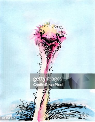 Emu Emu
