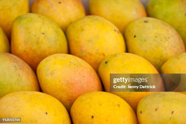 tray of mangoes - abundance stock pictures, royalty-free photos & images