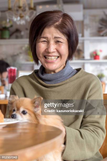 with my dog - kazunoriokazaki stock pictures, royalty-free photos & images