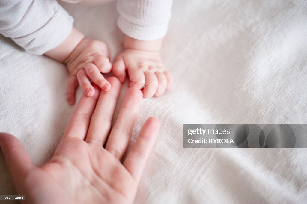 Hands of a newborn baby in the mother's fingers