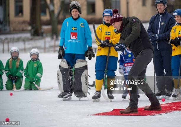 Catherine, Duchess of Cambridge and Prince William, Duke of Cambridge visit the Stockholm bandy team Hammarby IF where they will learn more about the...
