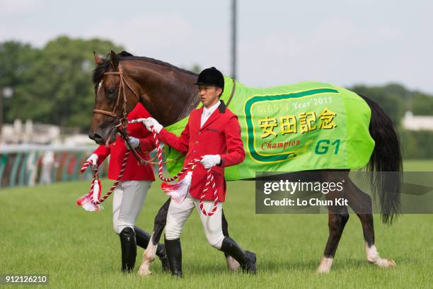 Ma Rice Japan 167 Maurice Racehorse Stock Photos, High-Res Pictures, and Images ...
