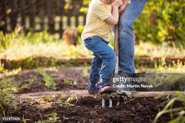 cropped image of girl kid helping her mother - forca da giardino foto e immagini stock