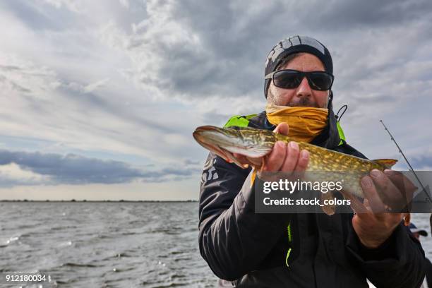 is fishing time - awards 2017 show stock pictures, royalty-free photos & images