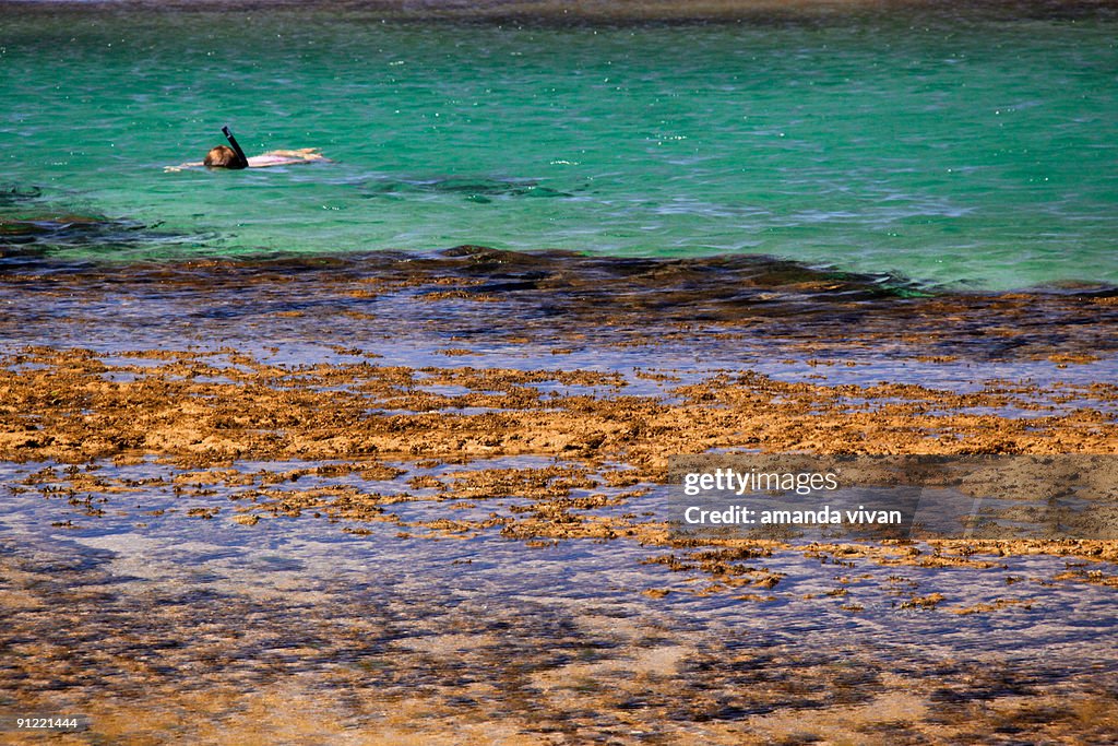 Snorkeling