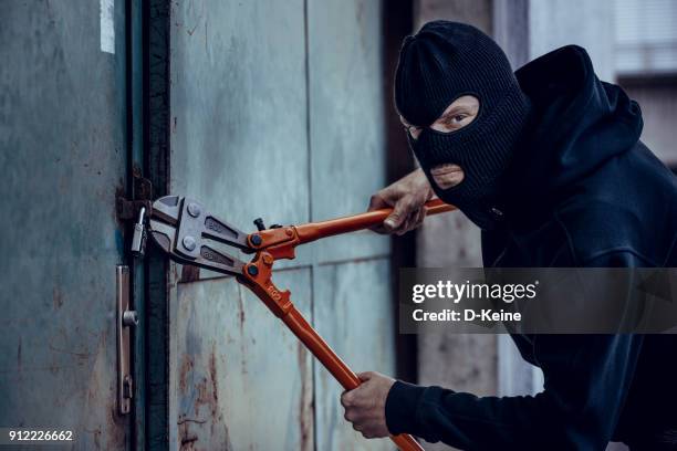 burglar - bolt cutter stock pictures, royalty-free photos & images