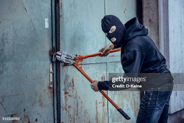 burglar - bolt cutter stock pictures, royalty-free photos & images