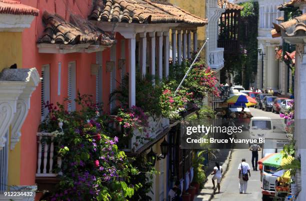 flowers and plants covered balconies of colonial style houses in old town of cartagena de indias.colombia - cartagena de indias bildbanksfoton och bilder