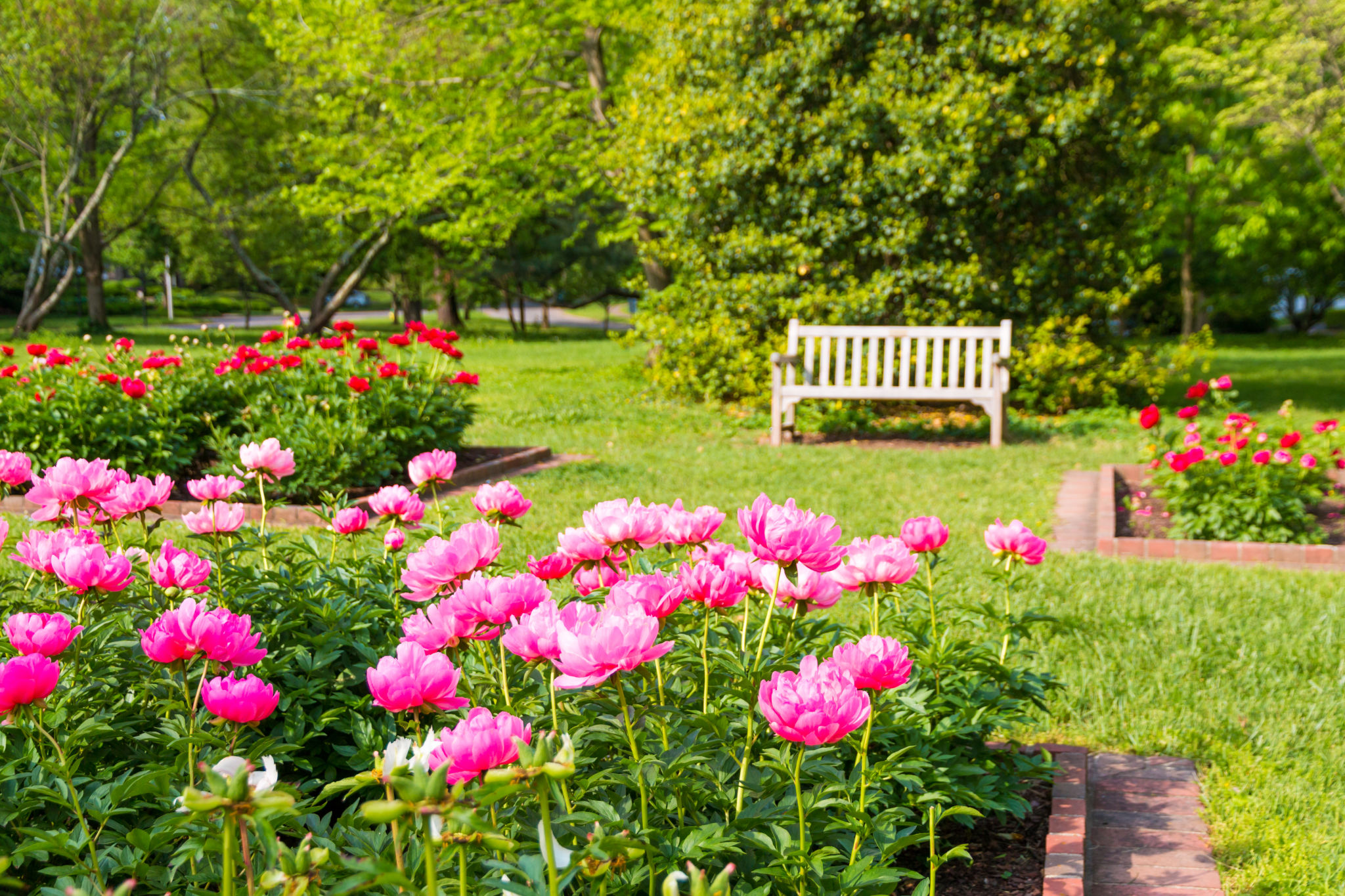 Kentucky garden spring