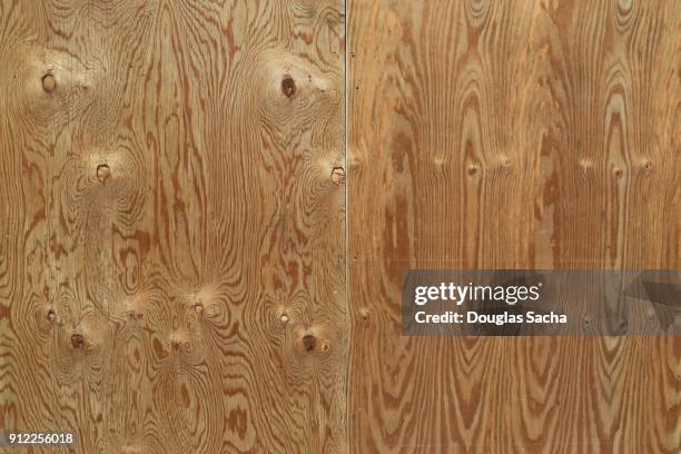 full frame of plywood boards with natural wood grain - dichtgetimmerd stockfoto's en -beelden