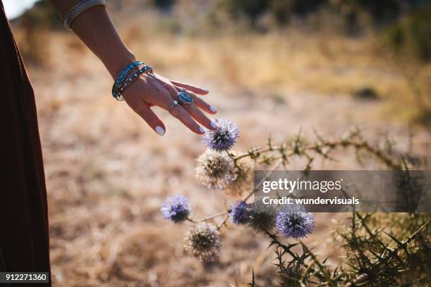 close-up of young boho girl's hand touching wildflower in field - silver bracelet stock pictures, royalty-free photos & images