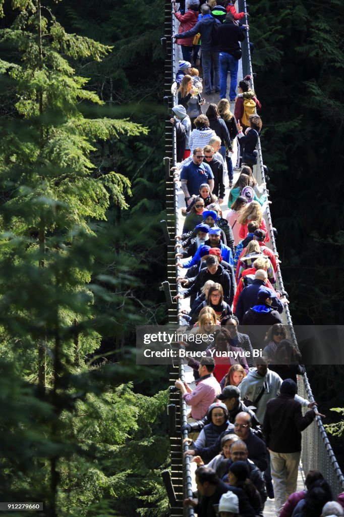 Capilano suspension bridge