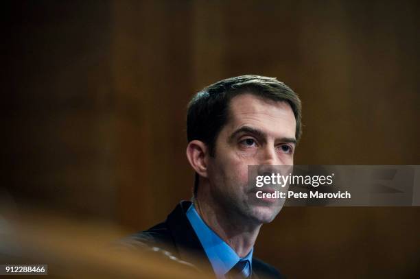 Senator Tom Cotton looks on as Treasury Secretary Steven Mnuchin delivers the annual financial stability report to the Senate Banking, Housing and...