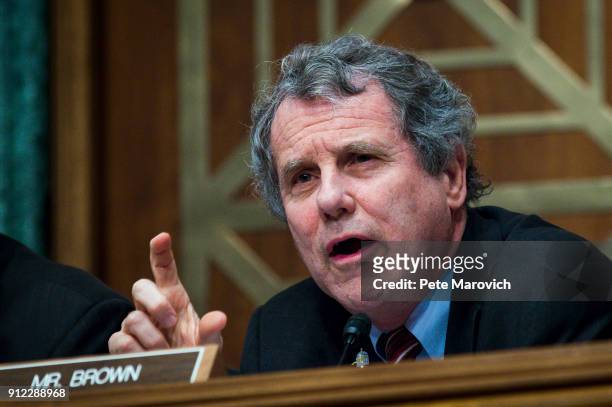 Ranking Member Sherrod Brown questions Treasury Secretary Steven Mnuchin as he delivers the annual financial stability report to the Senate Banking,...