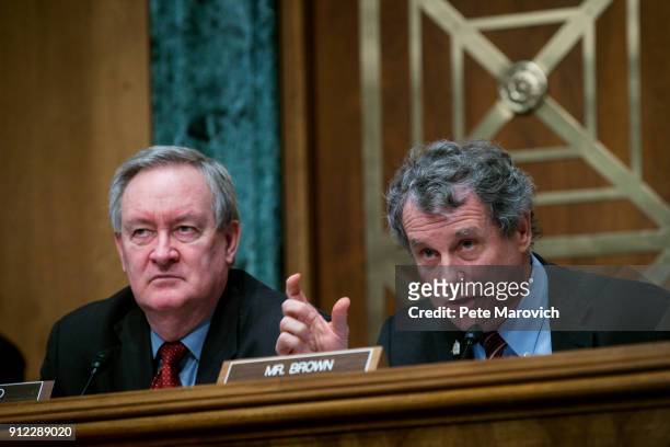 Commitee Chairman Mike Crapo looks on as Ranking Member Sherrod Brown questions Treasury Secretary Steven Mnuchin as he delivers the annual financial...