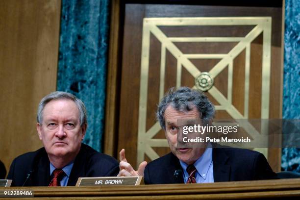 Commitee Chairman Mike Crapo looks on as Ranking Member Sherrod Brown questions Treasury Secretary Steven Mnuchin as he delivers the annual financial...