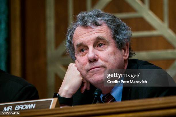 Ranking Member Sherrod Brown looks on as Treasury Secretary Steven Mnuchin delivers the annual financial stability report to the Senate Banking,...