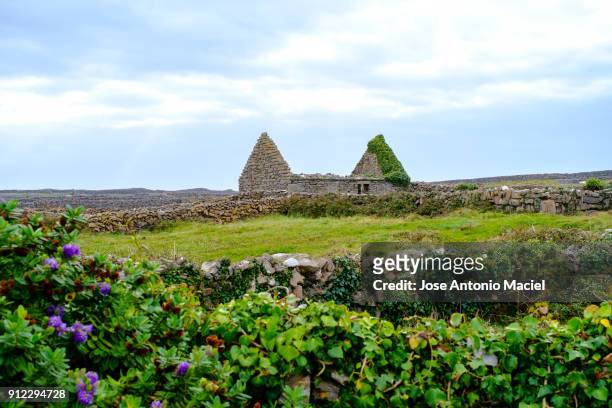 ruins of a house in the aran islands, ireland - aran islands imagens e fotografias de stock