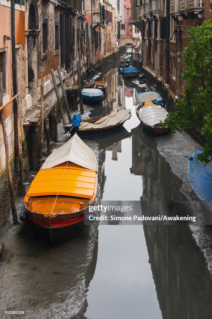 Exceptional Low Tide in Venice