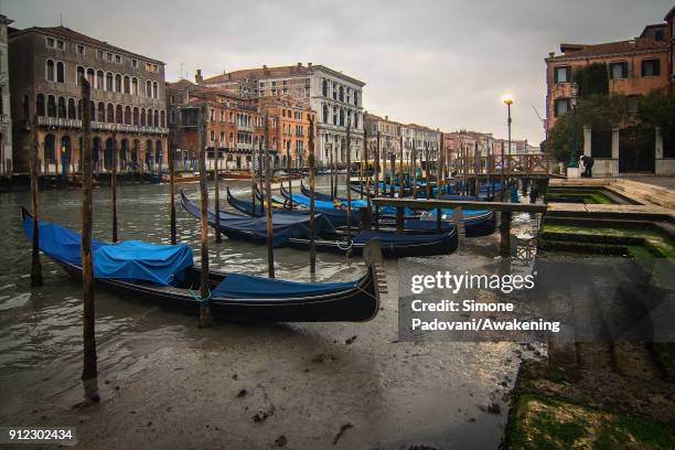 Gondolas are stucked along the Grand Canal near Rialto bridge because of an exceptional low tide on January 30, 2018 in Venice, Italy. An exceptional...