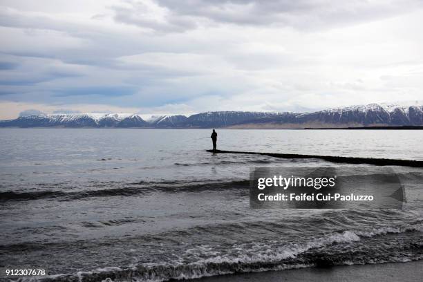 silhouette of a fisherman at saudárkrókur, norðurland vestra, iceland - スカガフィヨルズル ストックフォトと画像