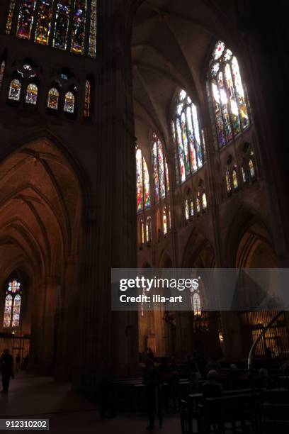 catedral de león al mediodía. camino de santiago. españa - fornix fotografías e imágenes de stock