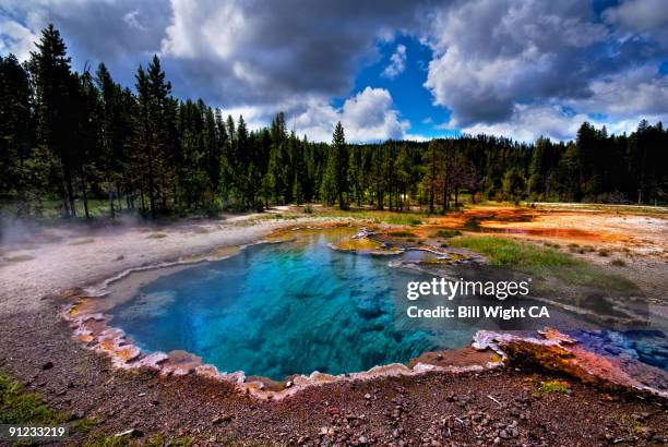 yellowstone thermal pool "the octopus" - yellowstone photos et images de collection