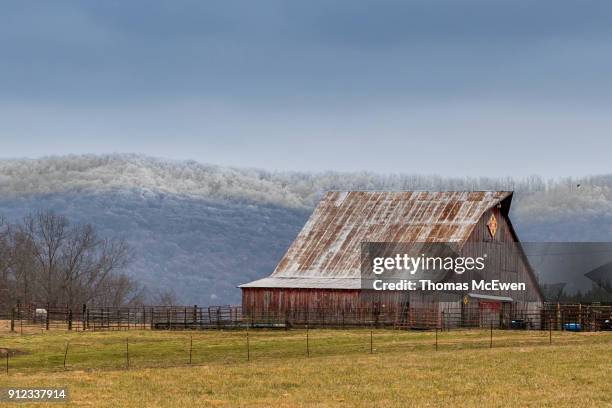 winter in tennessee - mcminnville tennessee stockfoto's en -beelden