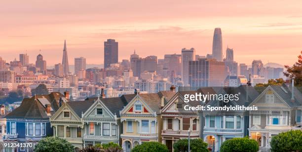alamo square and painted ladies with san francisco skyline - san francisco stock pictures, royalty-free photos & images