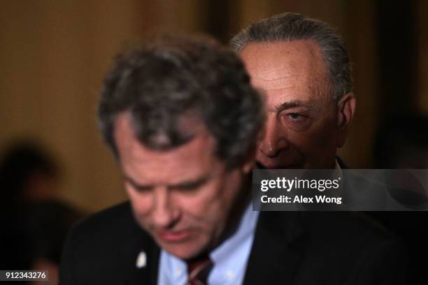 Sen. Sherrod Brown speaks to members of the media as Senate Minority Leader Sen. Chuck Schumer listens during a news briefing after the weekly Senate...