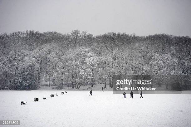people walking in snow covered park - 8897 stock pictures, royalty-free photos & images