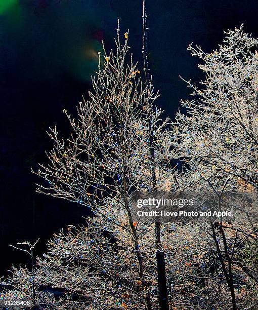 natural illuminations - kamikochi national park stock pictures, royalty-free photos & images