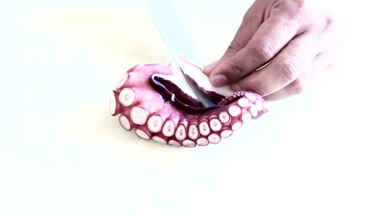 Tako Example 124 Japanese Tako Stock Videos, Footage, & 4K Video Clips - Getty Images