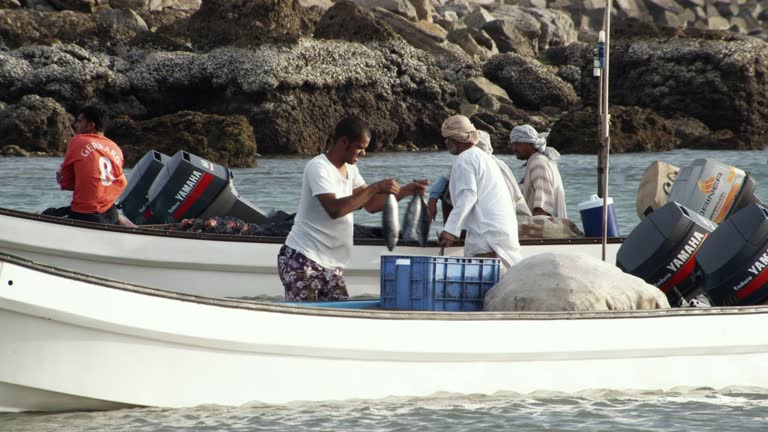 Container Fish Loading Loading Fish Videos and HD Footage - Getty Images