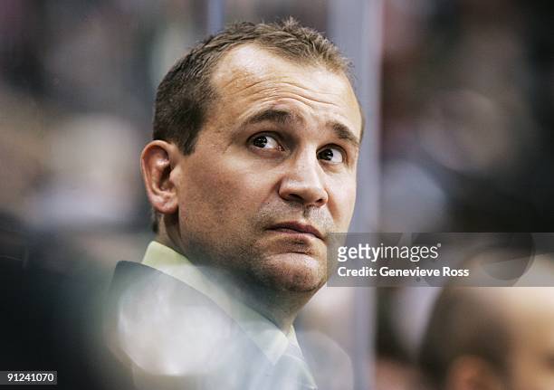 Todd Richards, head coach of the Minnesota Wild, looks on during their preseason game against the St. Louis Blues at the Xcel Energy Center on...