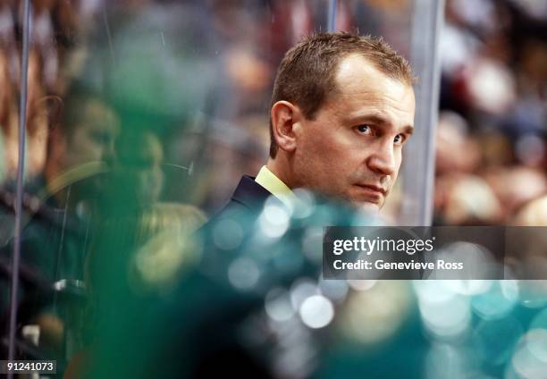 Todd Richards, head coach of the Minnesota Wild, looks on during their preseason game against the St. Louis Blues at the Xcel Energy Center on...