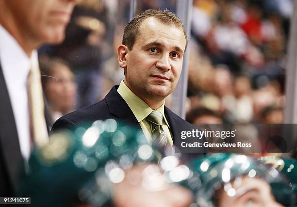 Todd Richards, head coach of the Minnesota Wild, looks on during their preseason game against the St. Louis Blues at the Xcel Energy Center on...